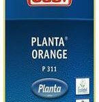 Buzil P311 Planta Orange 1L