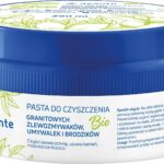 Deante Pasta do czyszczenia zlewów granitowych 250ml (ZZZ_000F)