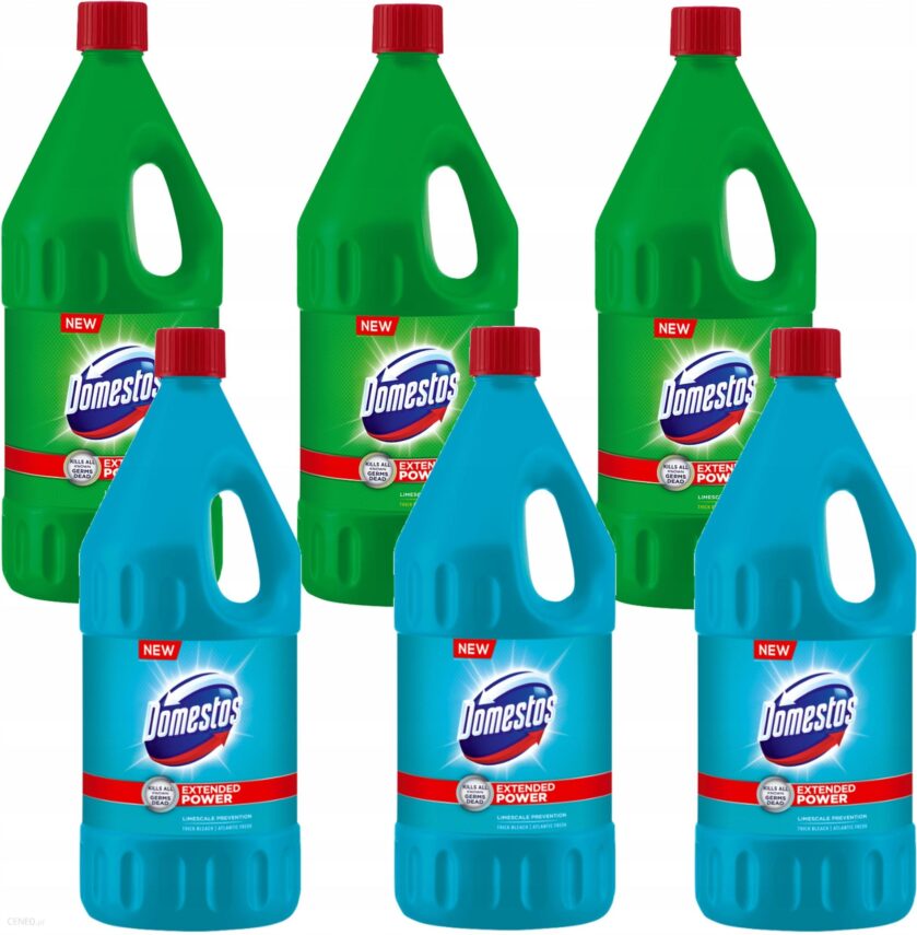 Domestos Atlantic Pine Żel do Wc 6 x 2L Mix 12L