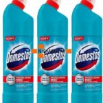 Domestos Extended Power Atlantic Fresh Żel do Wc 3X1,25L