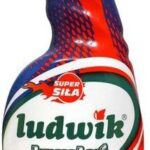 Ludwik Kamień I Rdza Spray 750 Ml
