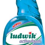 Ludwik Płyn Do Mycia Kabin Prysznicowych 750 Ml