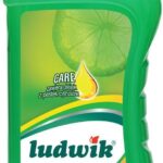 Ludwik Środek Do Czyszczenia Bezpieczne Zakupy Z Dostawą Domu